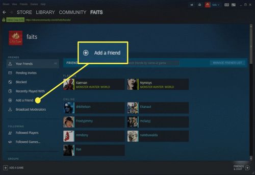 Add a friend in Steam