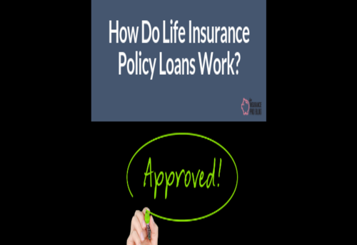 life insurance policy loans