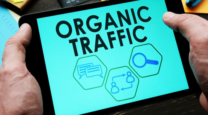 organic traffic for website