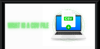 what is a CSV File