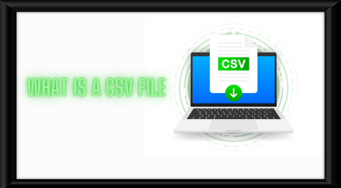 what is a CSV File