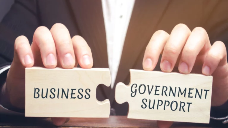 Interconnection between Government and Businesses