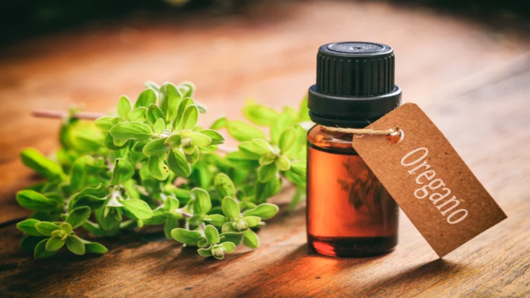 From Kitchen to Medicine Cabinet: wellhealthorganic.com:health-benefits-and-side-effects-of-oil-of-oregano